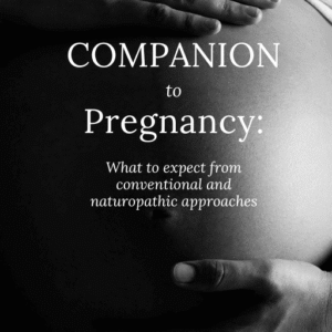 Companion to Pregnancy by Dr. Morgan Osborn, ND (eBook)
